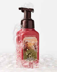 Harvest Gathering Gentle & Clean Foaming Hand Soap