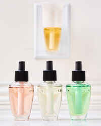 Sweet Orange & Agave Wallflowers Refills 2-Pack