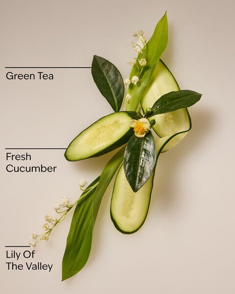 Cucumber & Lily Daily Moisturizing Hand Soap