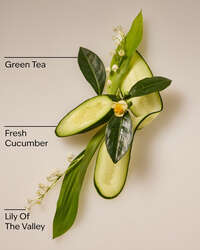 Cucumber & Lily Daily Moisturizing Hand Soap