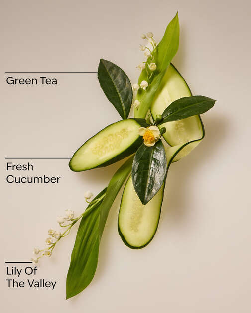 Cucumber & Lily Daily Moisturizing Hand Soap