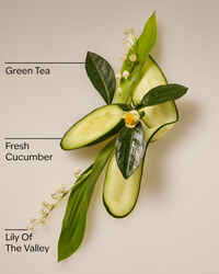 Cucumber & Lily Daily Moisturizing Hand Soap