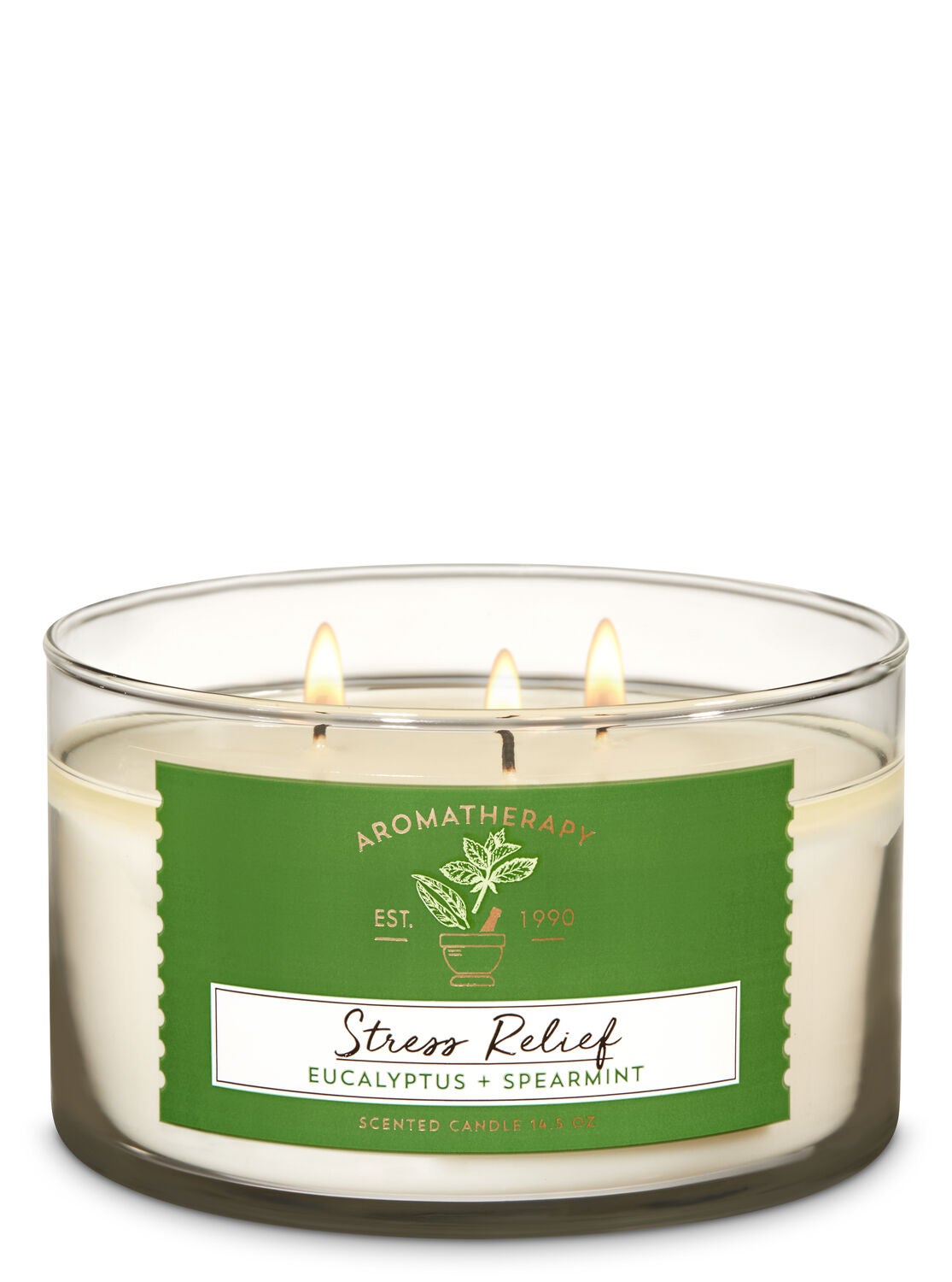 Eucalyptus Spearmint 3-Wick Candle