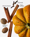 Pumpkin Clove Single Wick Candle