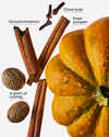 Pumpkin Clove Single Wick Candle