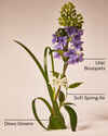 Fresh Cut Lilacs Wallflowers Fragrance Refill