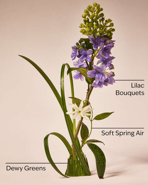 Fresh Cut Lilacs Wallflowers Fragrance Refill