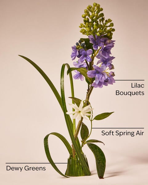 Fresh Cut Lilacs Wallflowers Fragrance Refill