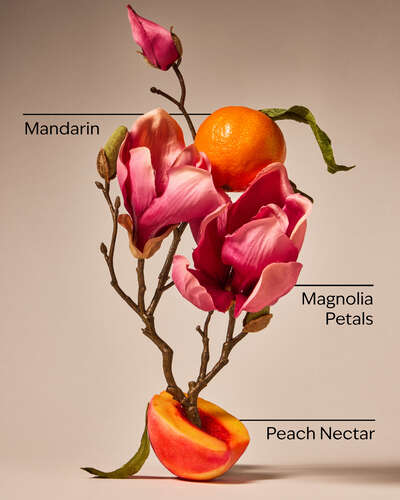 Pink Peach Blossom Gentle & Clean Foaming Hand Soap