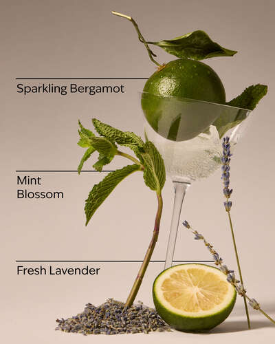 Clean House Vibes Concentrated Room Spray