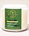 Eucalyptus Spearmint 3-Wick Candle