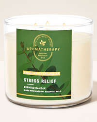 Eucalyptus Spearmint 3-Wick Candle