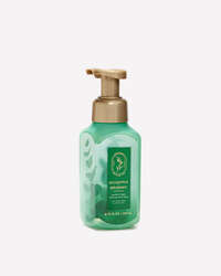 Eucalyptus Spearmint Gentle & Clean Foaming Hand Soap