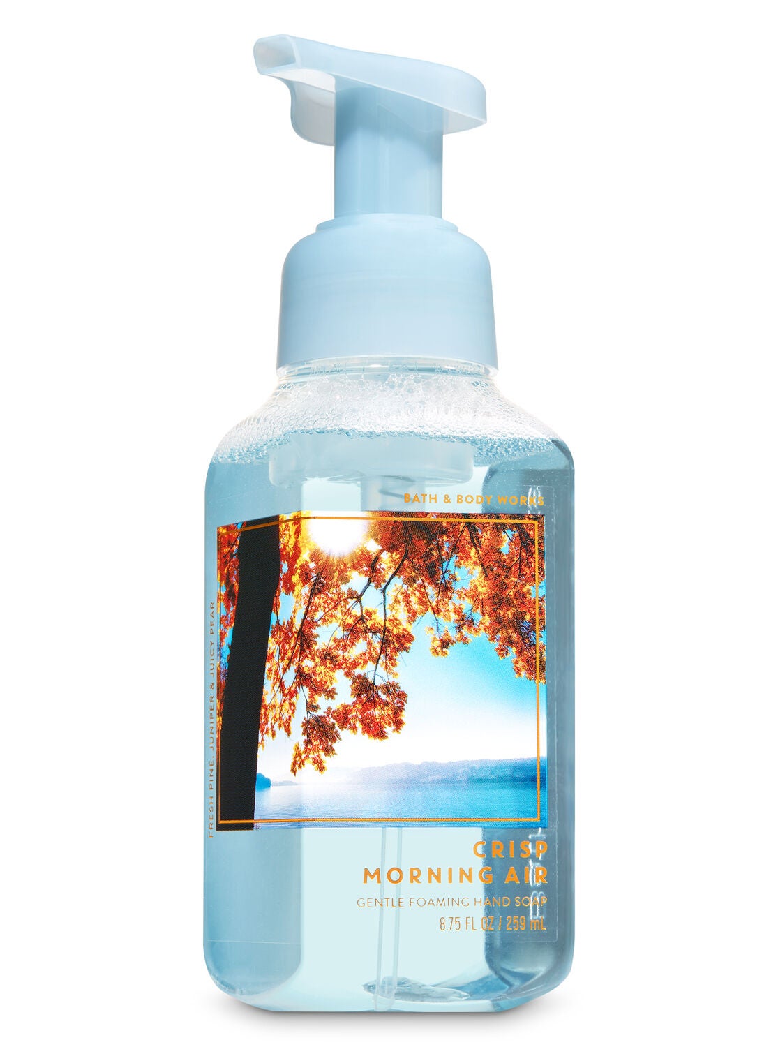 Crisp Morning Air Gentle Foaming Hand Soap - Bath And Body Works