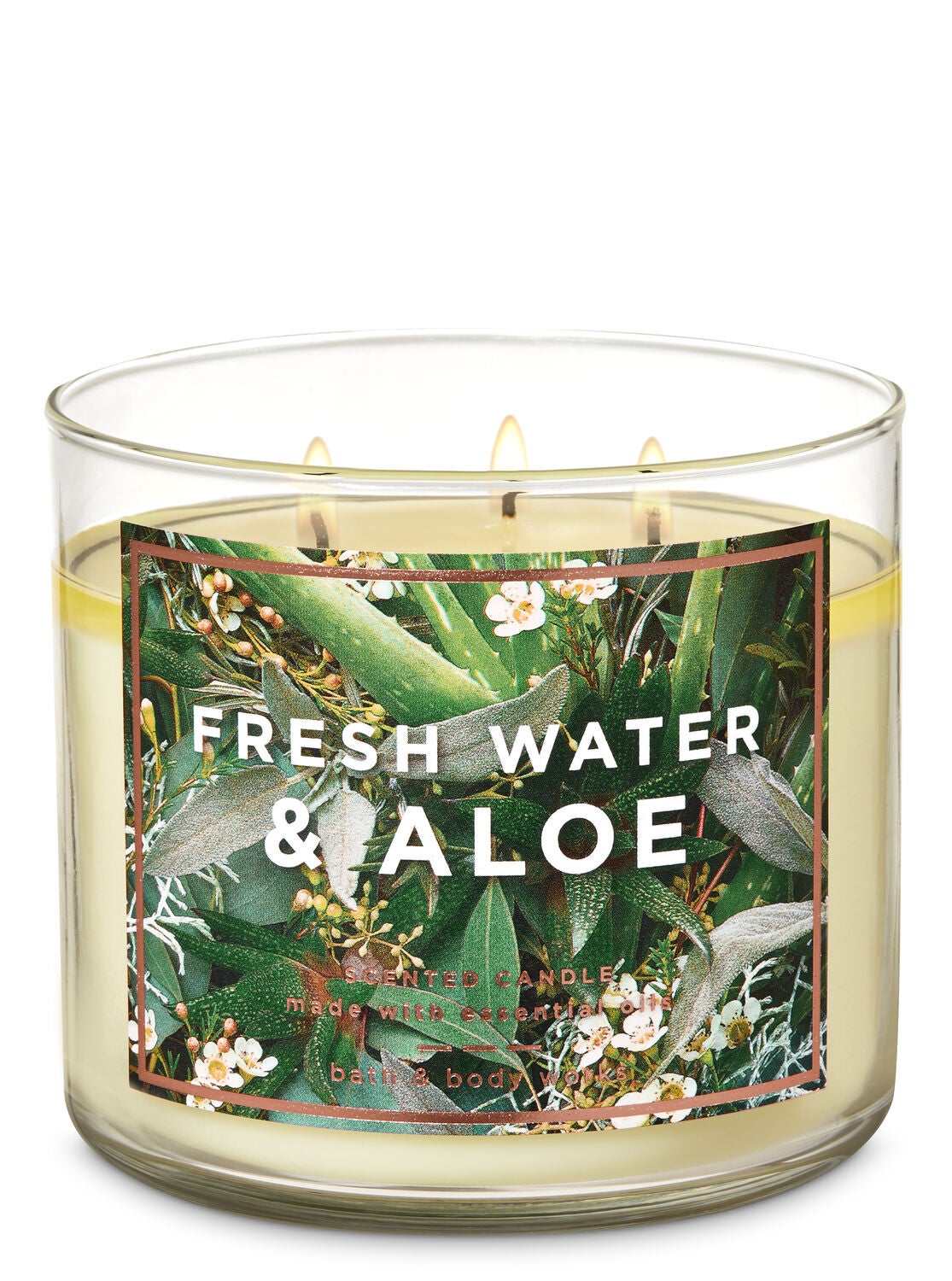 Fresh Water & Aloe 3-Wick Candle - Bath And Body Works