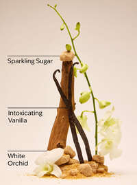 Warm Vanilla Sugar Ultimate Hydration Body Cream