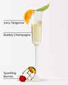 Champagne Toast Gentle & Clean Foaming Hand Soap