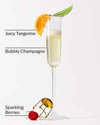 Champagne Toast Gentle & Clean Foaming Hand Soap