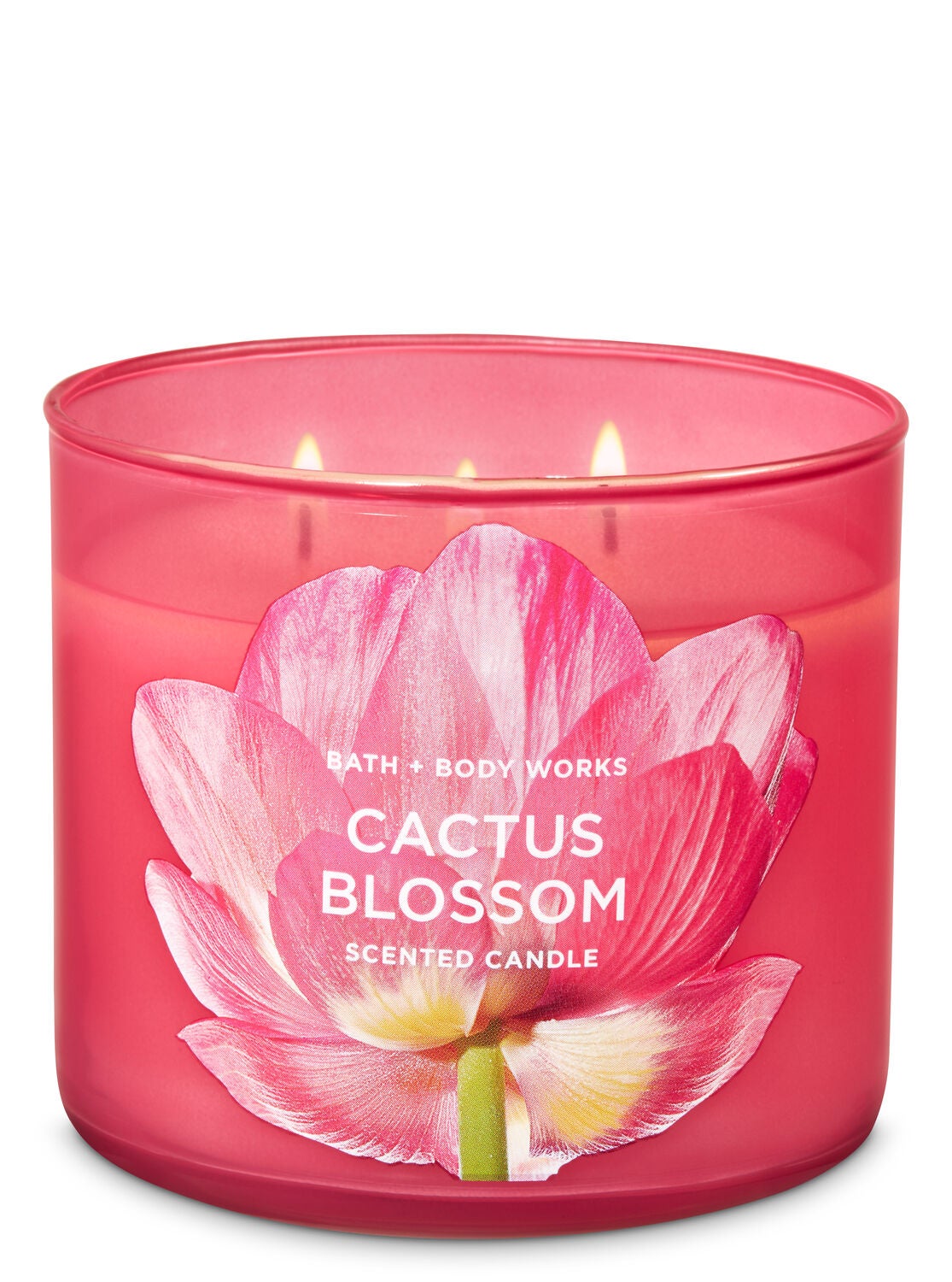 Cactus Blossom 3-Wick Candle - Bath And Body Works