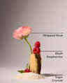 Sweetest Song Fine Fragrance Mist