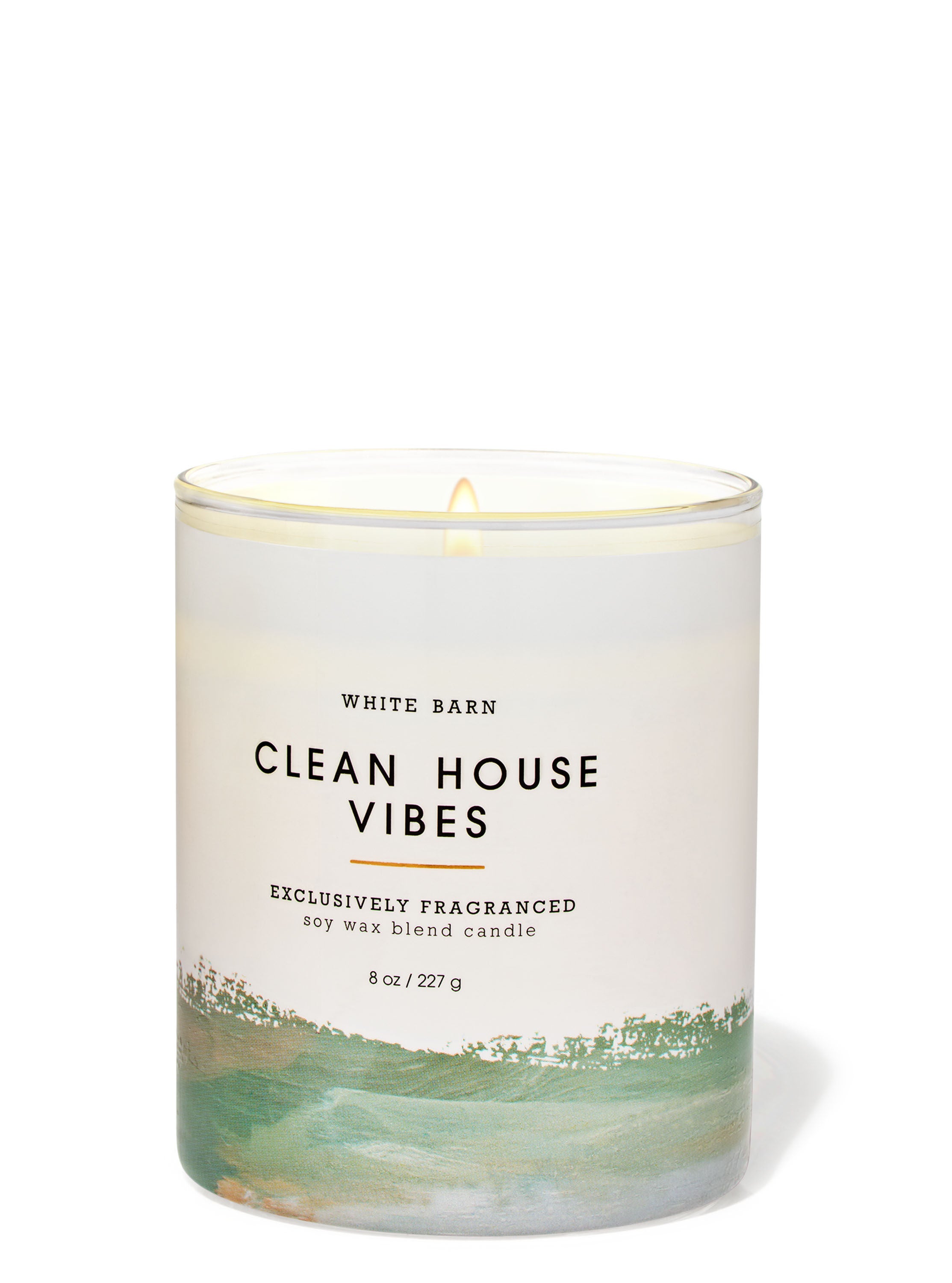 Clean House Vibes Single Wick Candle