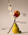 Spring Apple 3-Wick Candle