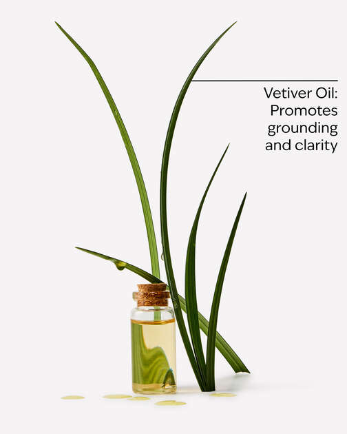 Vetiver Moisturizing Body Lotion