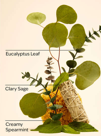 Eucalyptus Mint Gentle & Clean Foaming Refill