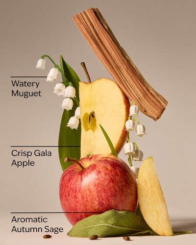 Country Apple Wallflowers Fragrance Refill