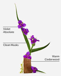 Very Violet Eau De Parfum