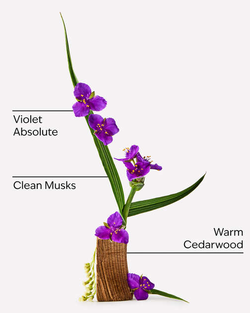 Very Violet Eau De Parfum