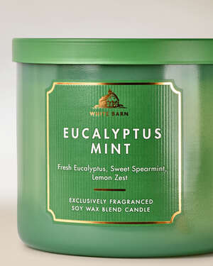 Eucalyptus Mint 3-Wick Candle