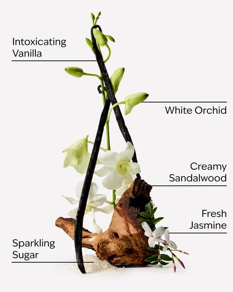 Warm Vanilla Sugar Fine Fragrance Mist