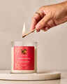 Simmer & Spice Single Wick Candle
