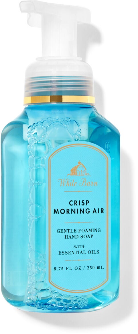 Crisp Morning Air Gentle Foaming Hand Soap