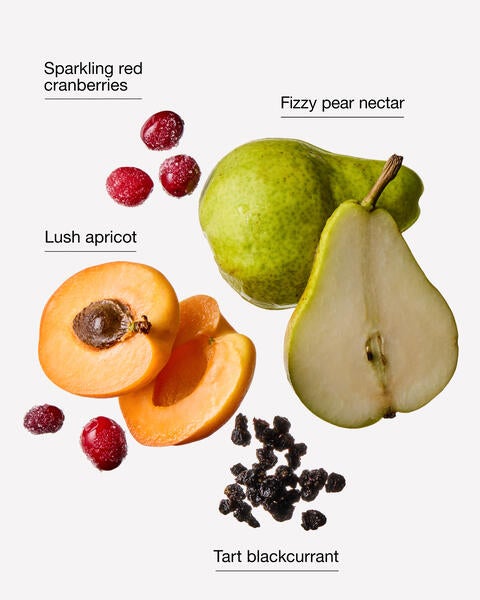 Cranberry Pear Bellini Wallflowers Refills 2-Pack