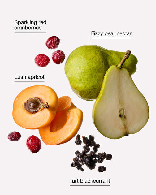 Cranberry Pear Bellini Wallflowers Refills 2-Pack