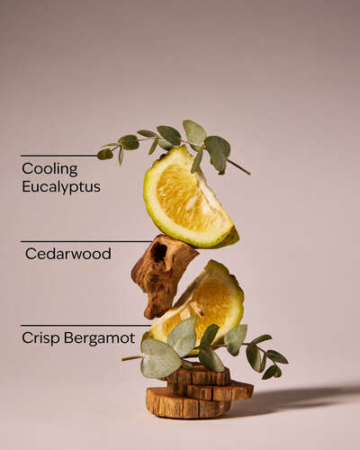 Onyx Frost Hanging Fragrance Diffuser