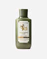 White Pumpkin & Chai Body Lotion
