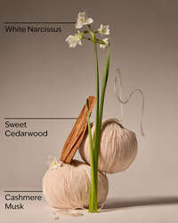 Flowerchild Wallflowers Refills 2-Pack