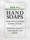 Eucalyptus Mint Gentle & Clean Foaming Hand Soap