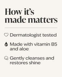 Champagne Toast Shampoo
