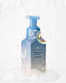 Vanilla Cocoa Flurries Gentle & Clean Foaming Hand Soap