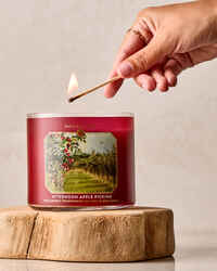 Afternoon Apple Picking 3-Wick Candle