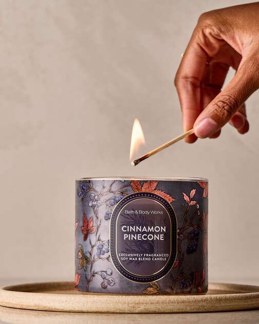 Cinnamon Pinecone 3-Wick Candle