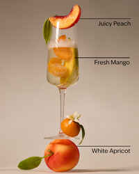 Peach Bellini Gentle & Clean Foaming Hand Soap