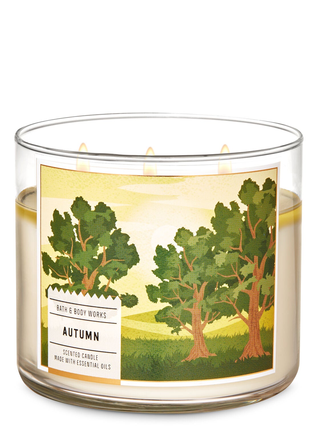 Autumn 3-Wick Candle - Bath And Body Works