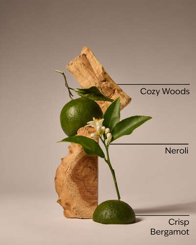 Book Loft 3-Wick Candle