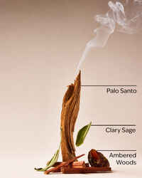 Palo Santo & Sage Wallflowers Refills 2-Pack