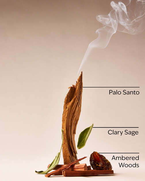 Palo Santo & Sage Wallflowers Refills 2-Pack